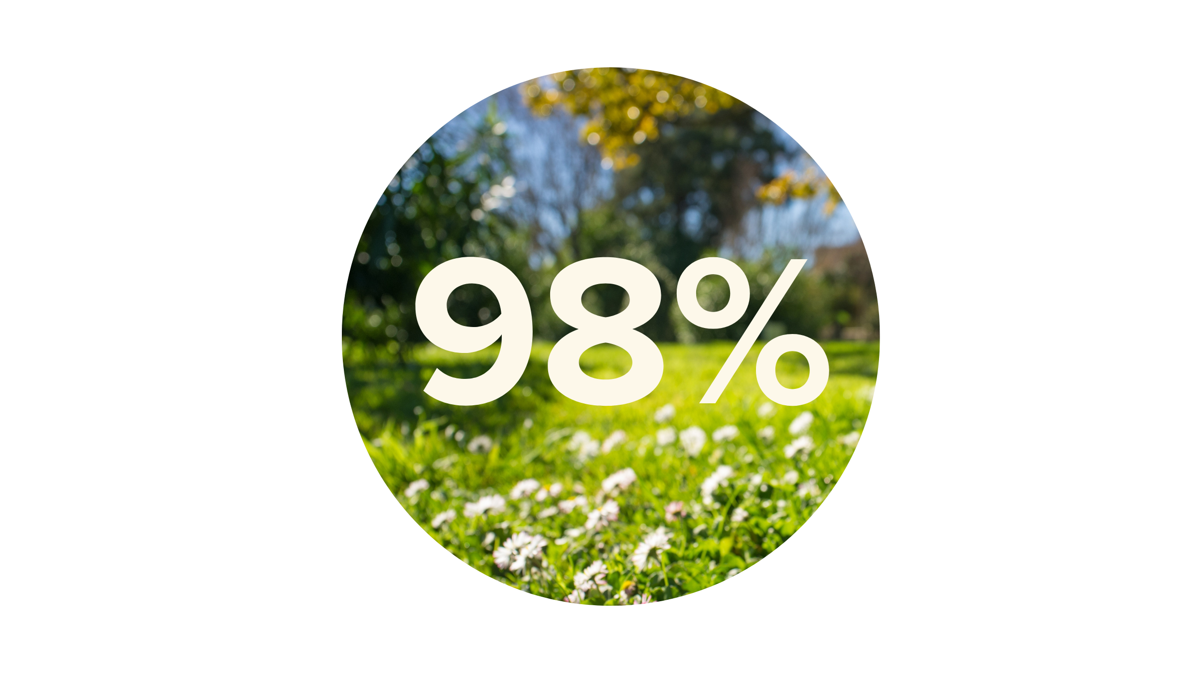98 percent