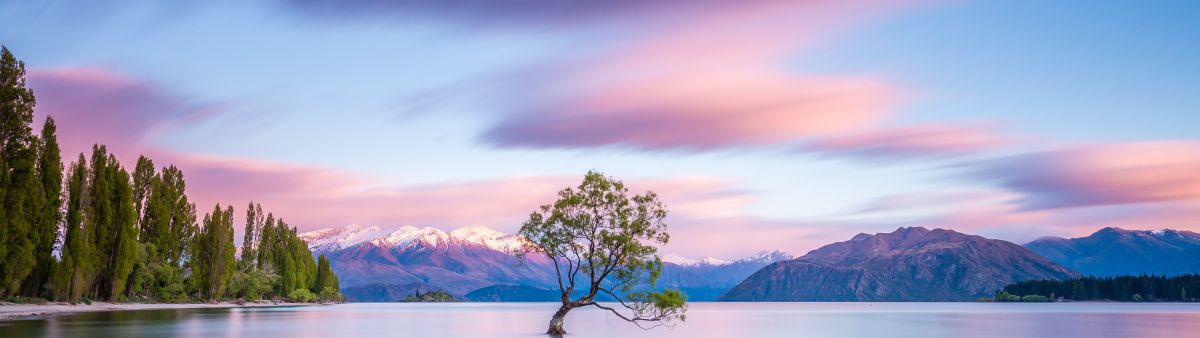 Water landscape