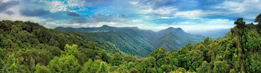 mountain ranges and hills covered by evergreen cold rain-forests, Dorrigo National park, Australia