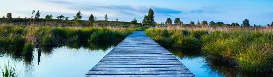 pier extending out over wetlands, blue sky