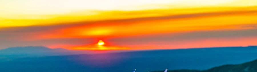Photo of a sunset, mountain range, and in the foreground: blue flowers growing