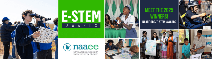 2025 Global E-STEM Awardees