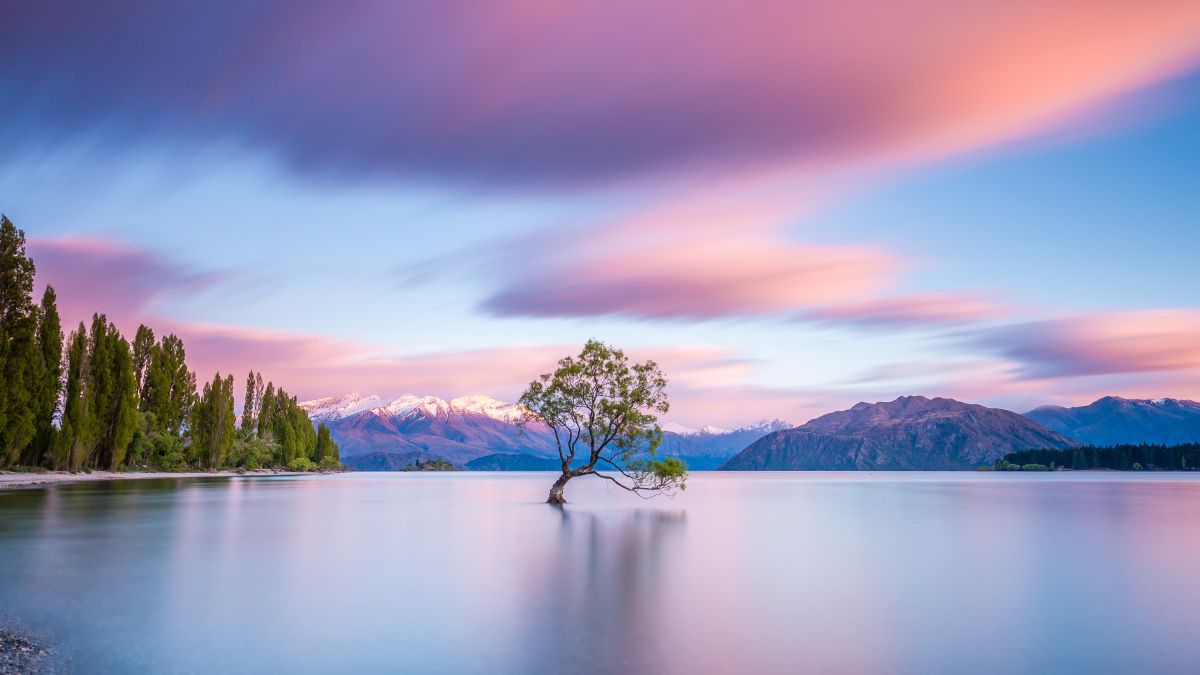 Water landscape
