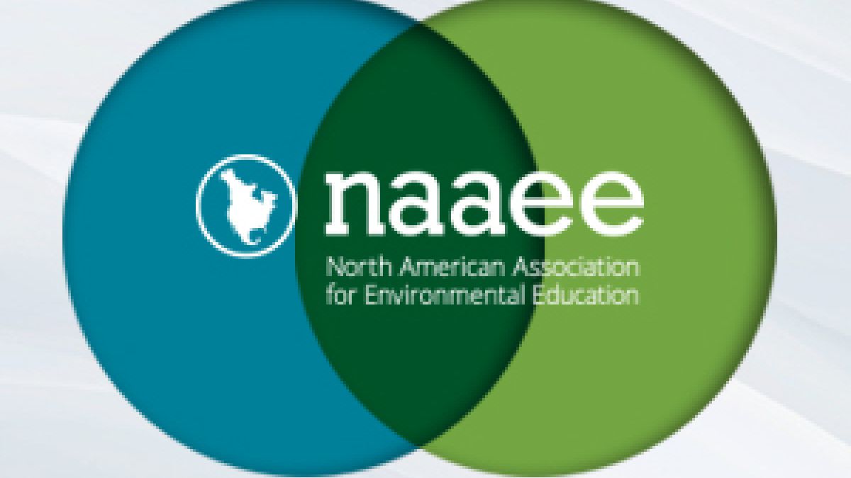 Awards logo