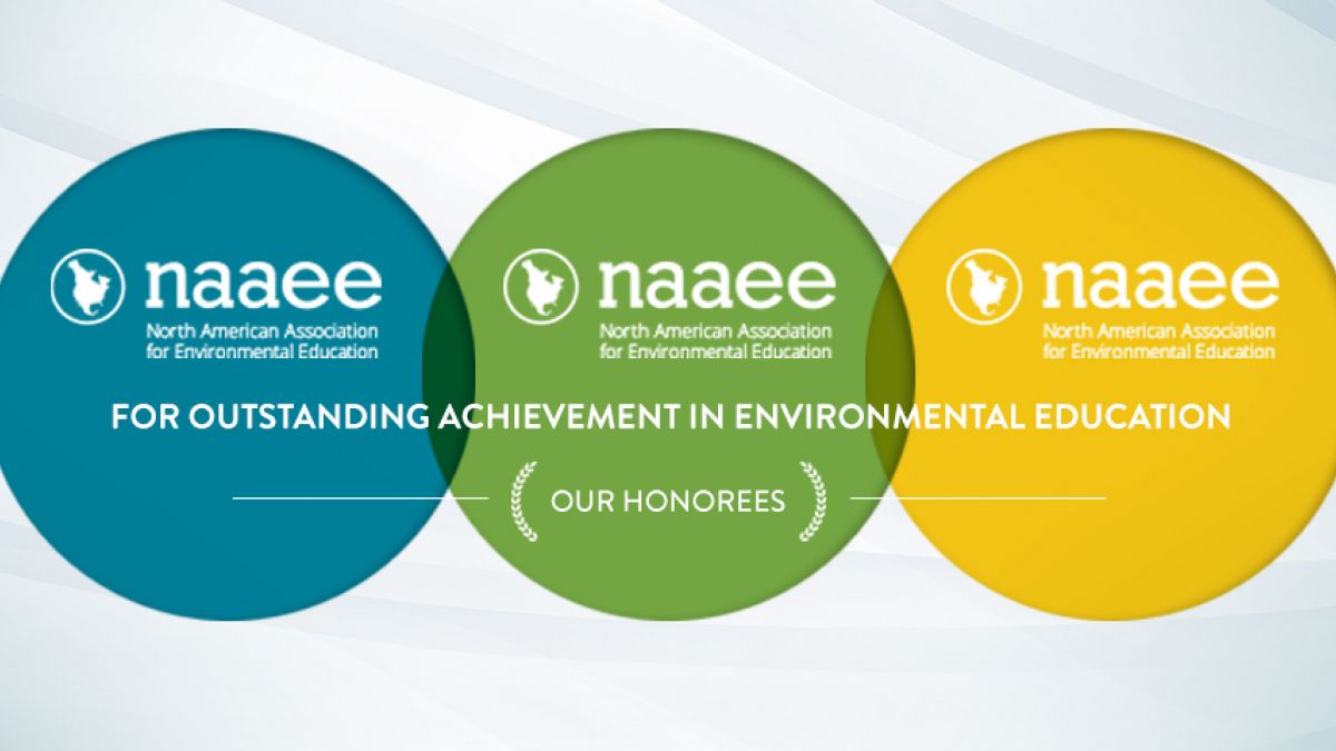 Award logo