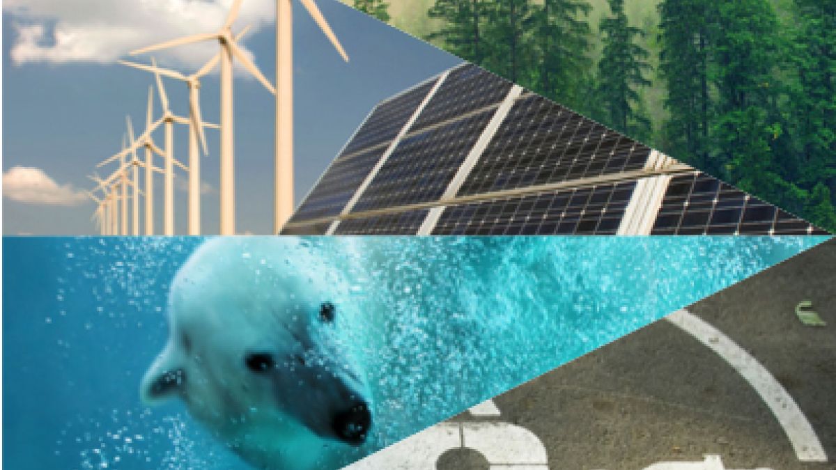 Climate Change eeWORKS forest, windmills, polar bear, charging symbol