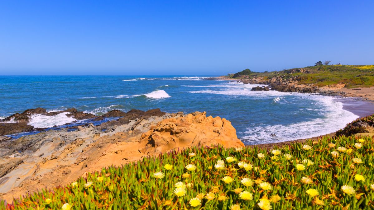 California Bean Hollow State beach