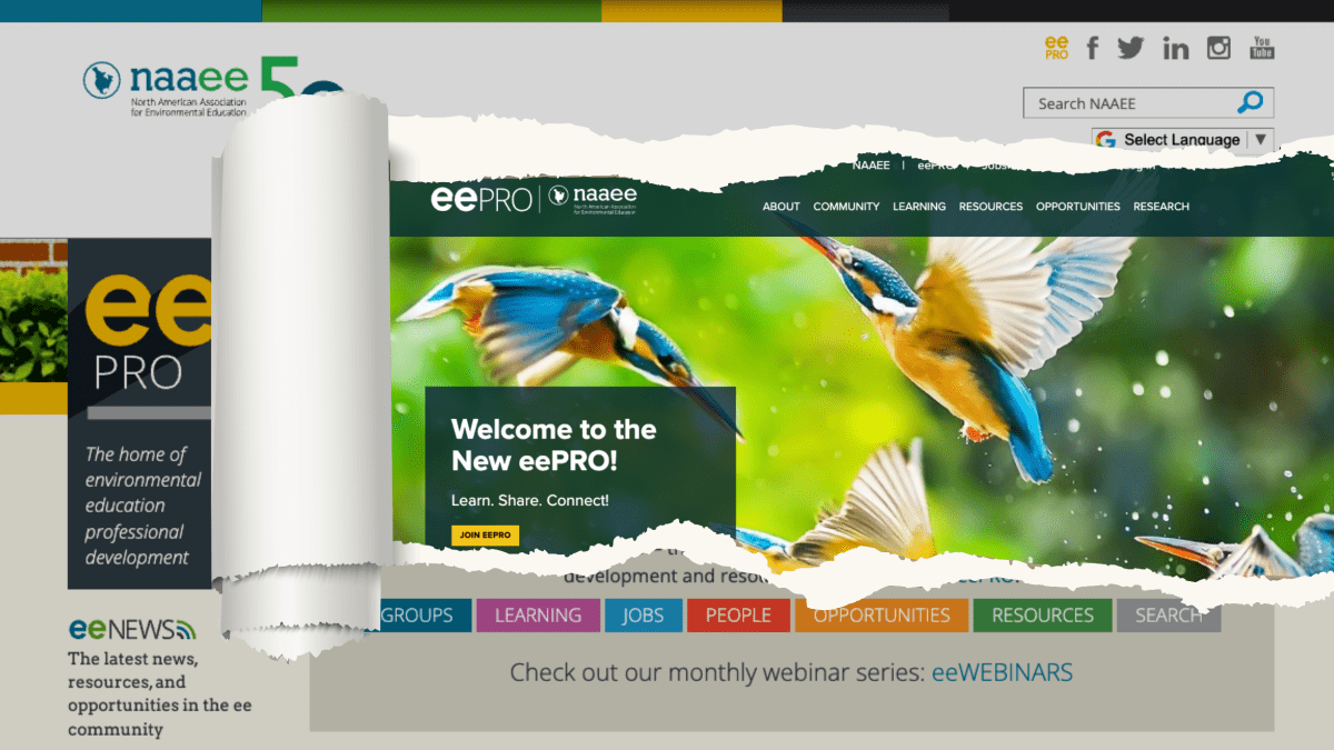 old version of eePRO with new version revealed with scrolled paper