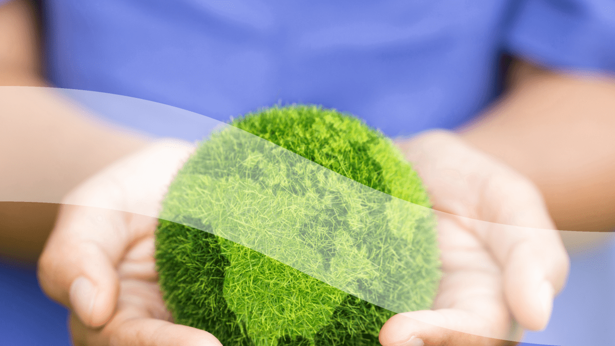 ECA Sustainability Policy Case Study cover