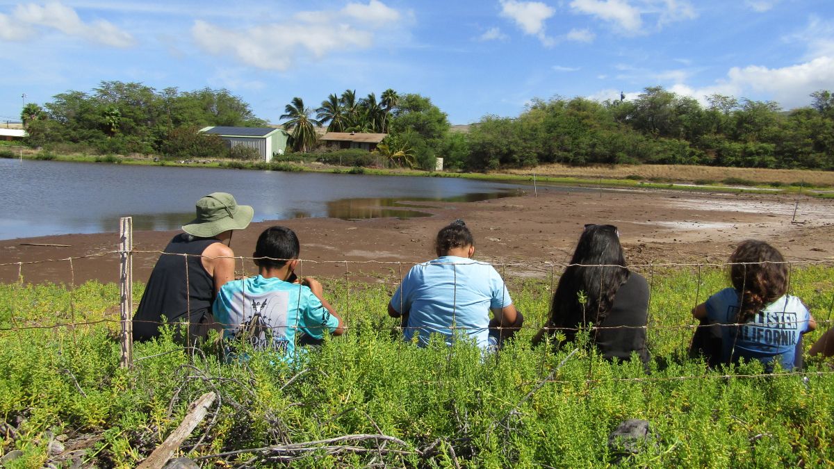Scene of Coastal Camp field trip to Koheo Wetlands with four campers and one scientist.