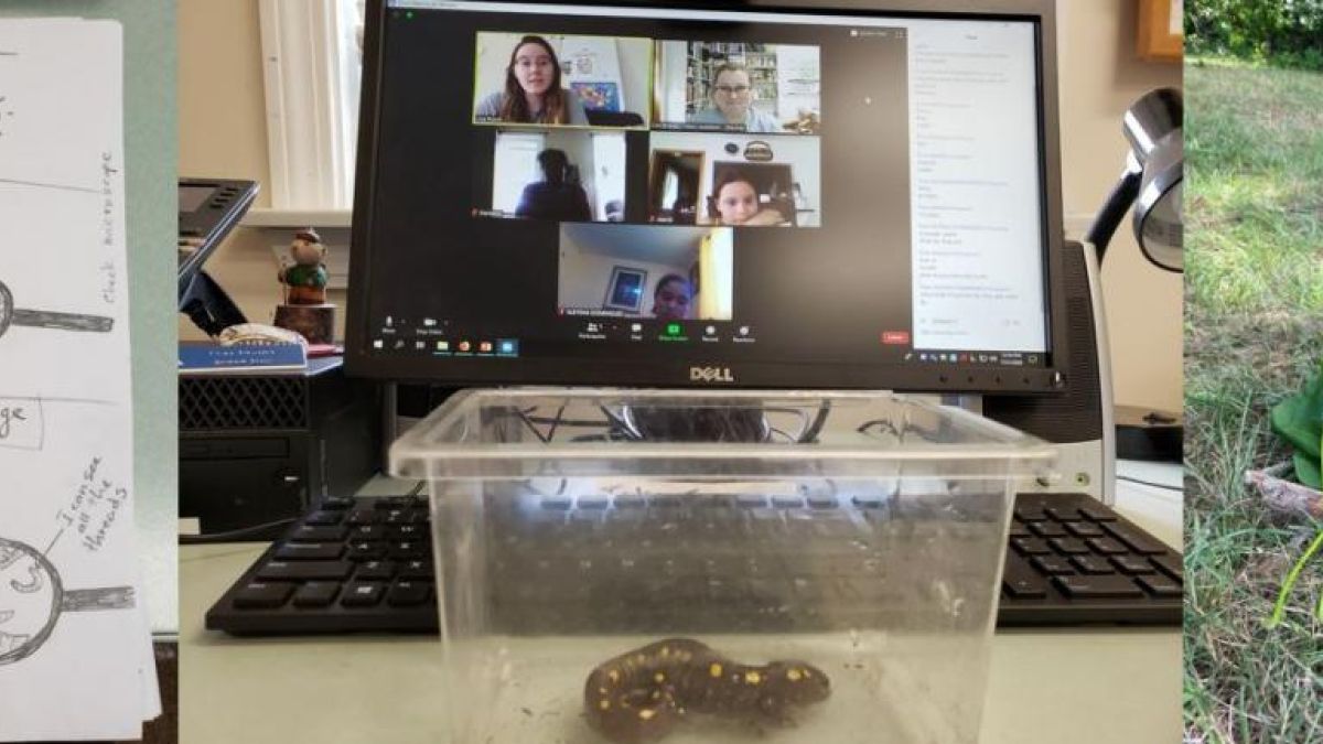 Three photos side-by-side showing an open journal page, a computer screen, and a few leaves on the ground in the shape of a shelter's roof 