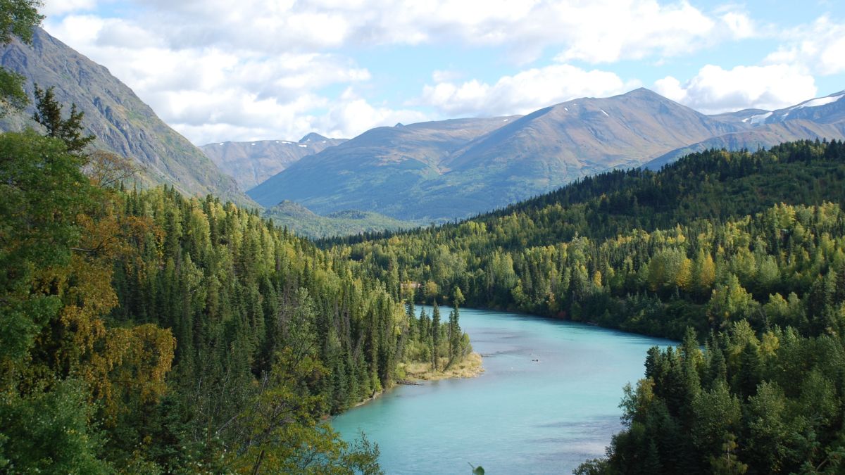 Landscape photo of a blue river winding its way through a forest and mountains