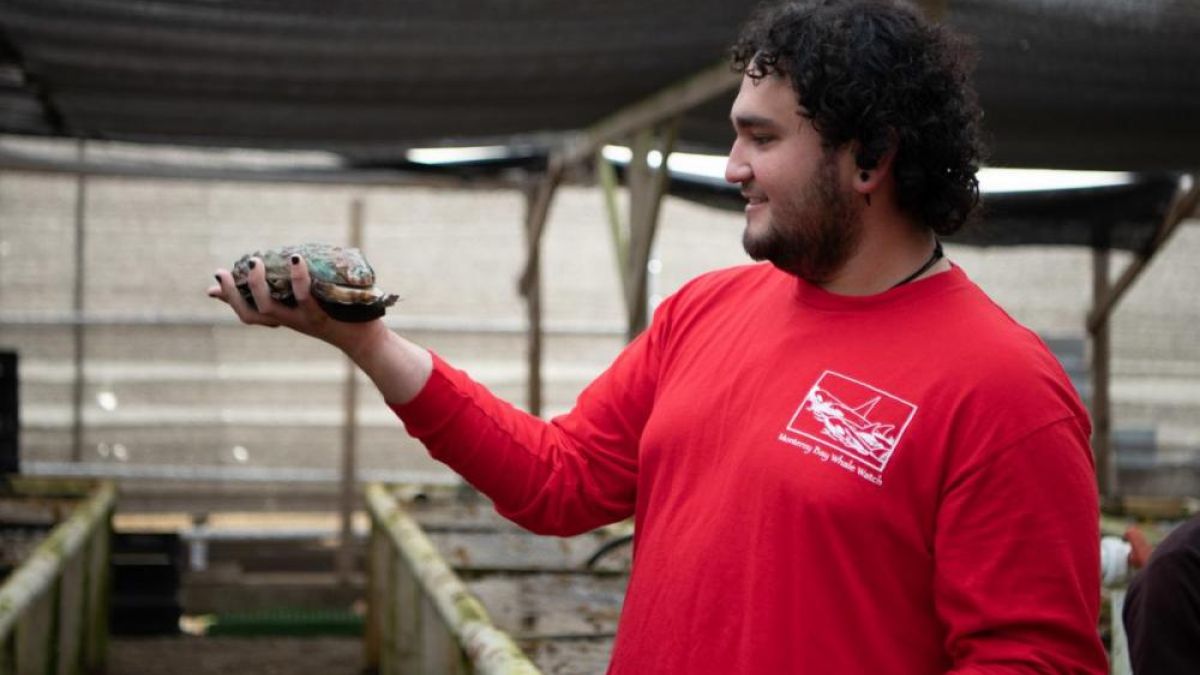 A Sea Center staff member admires a huge red abalone!