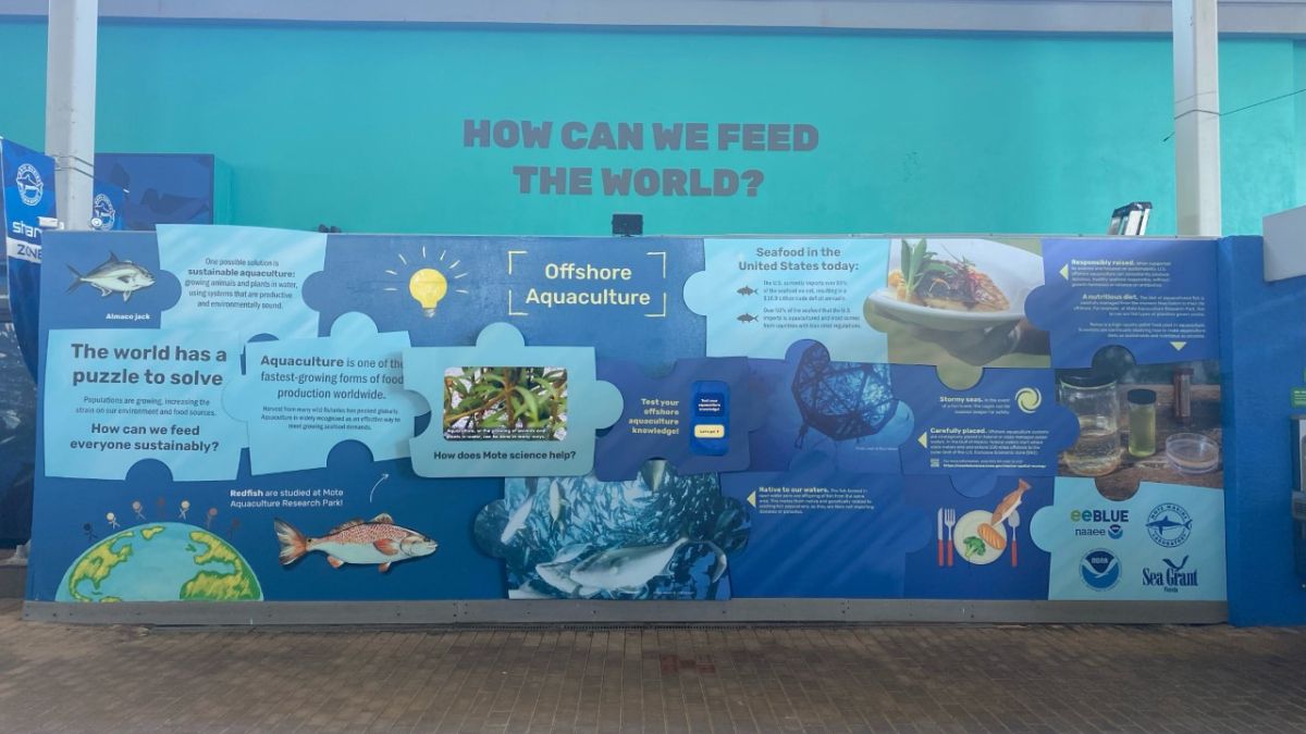 New offshore aquaculture exhibit at Mote Marine Aquarium in Sarasota Florida. Photo credit: Danielle Mosteller, Mote Marine Aquarium.