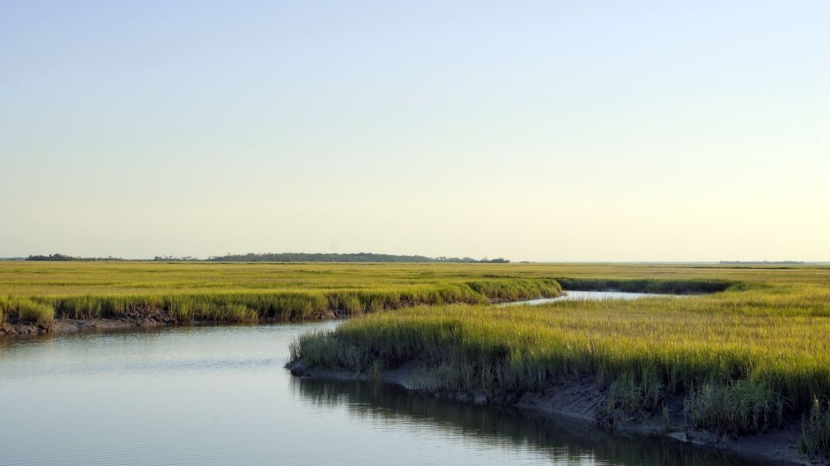 A beautiful evening on a waterway surrounding Tybee Island near Savannah Georgia.