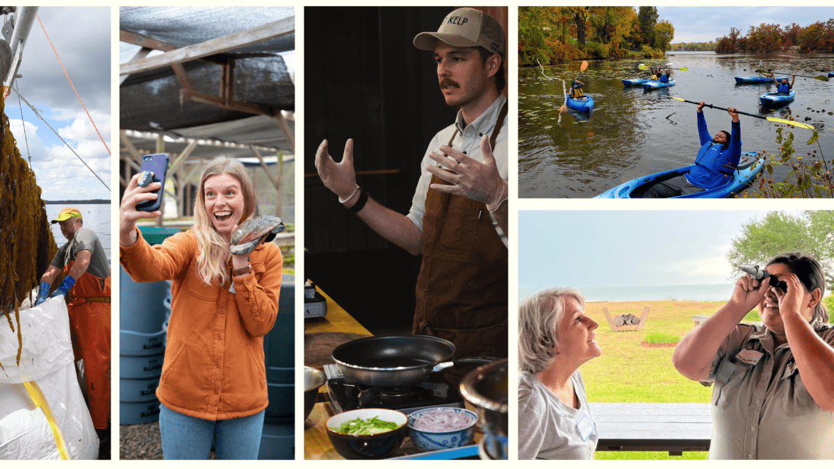 Collage of photos featuring, from top left, two people hauling in oysters, a woman showing illustrated books, two people hauling in kelp, a woman taking a selfie with abalone, a man gesturing with open hands, a group of students in kayaks, two people peering through an instrument, two students on a sandy beach, a group of students waving at the camera