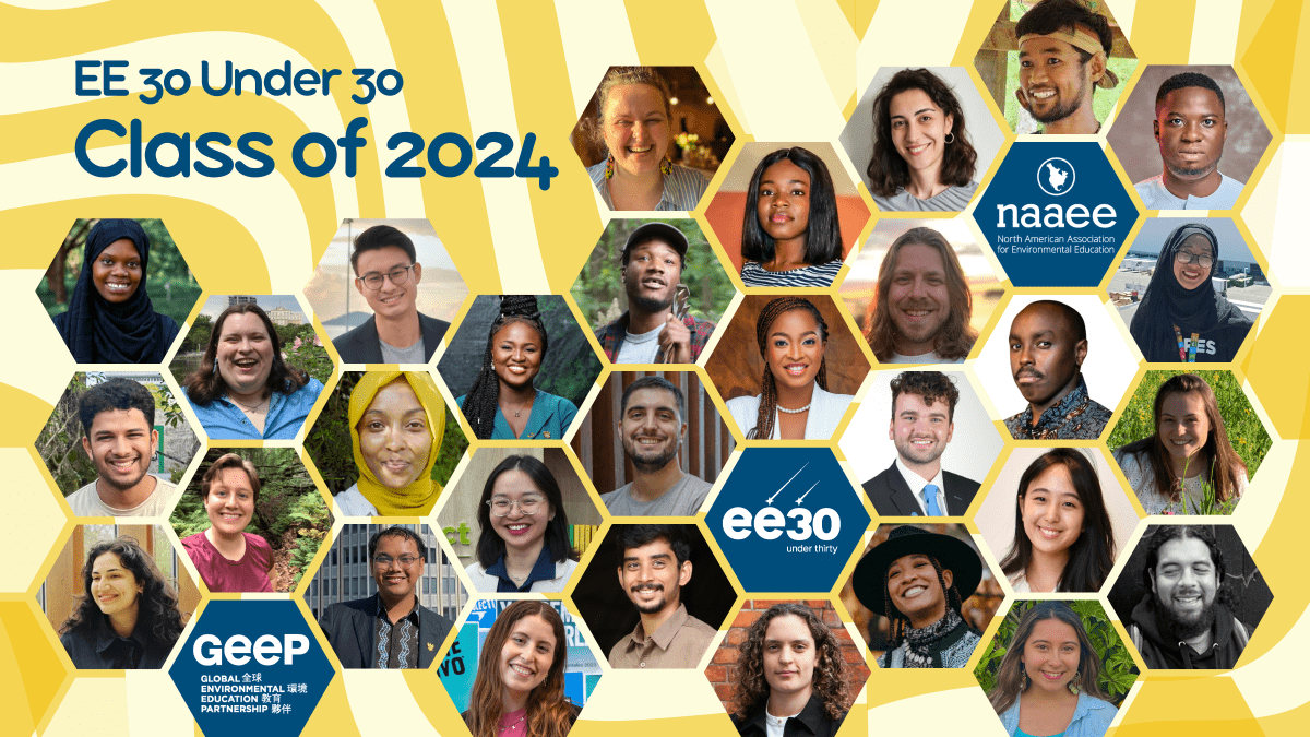 "EE 30 Under 30 Class of 2024" NAAEE, GEEP, ee30 Under 30 logos; faces of awardees in a hive pattern