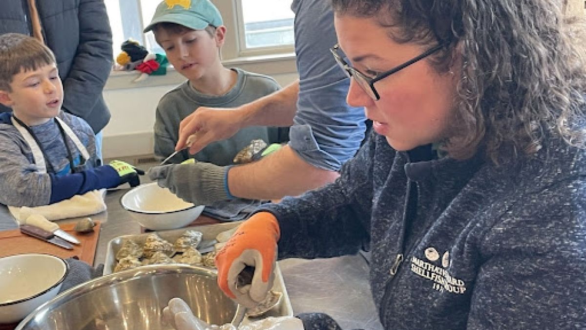 Group of people seated at a table, shucking oysters