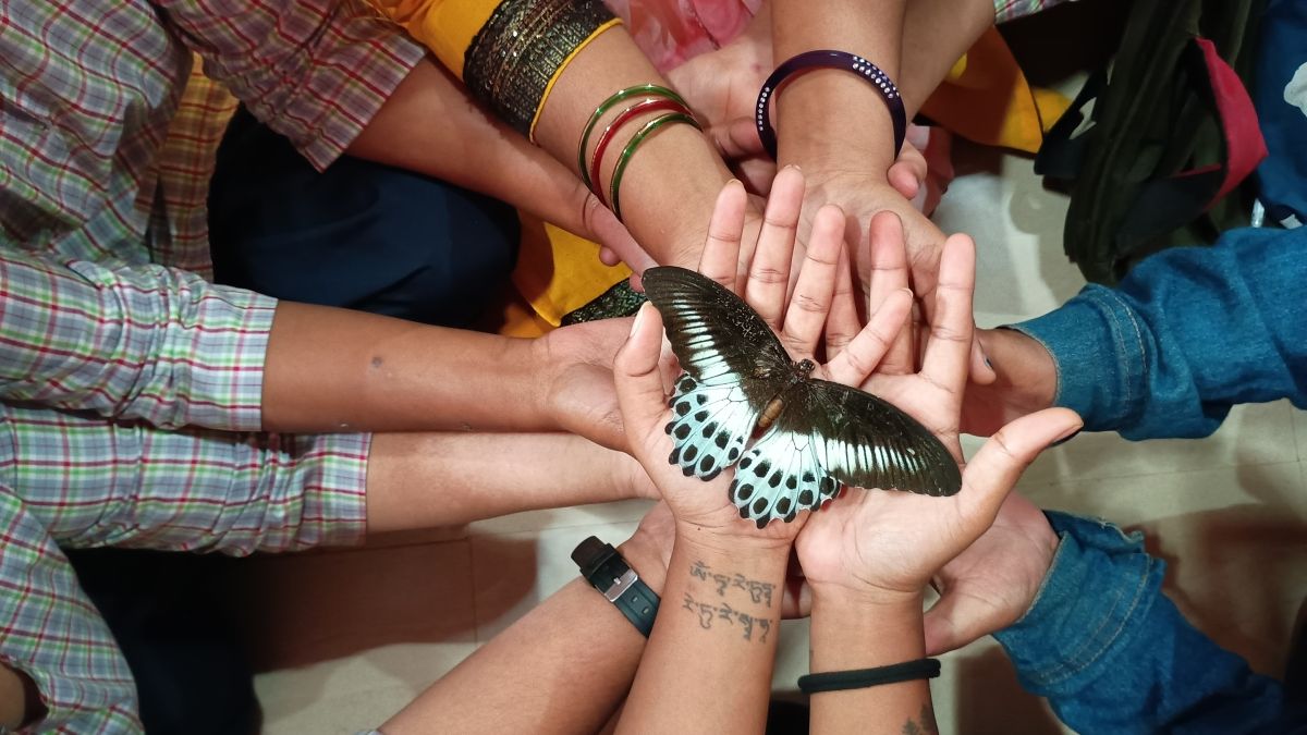 Hands coming together with a butterfly