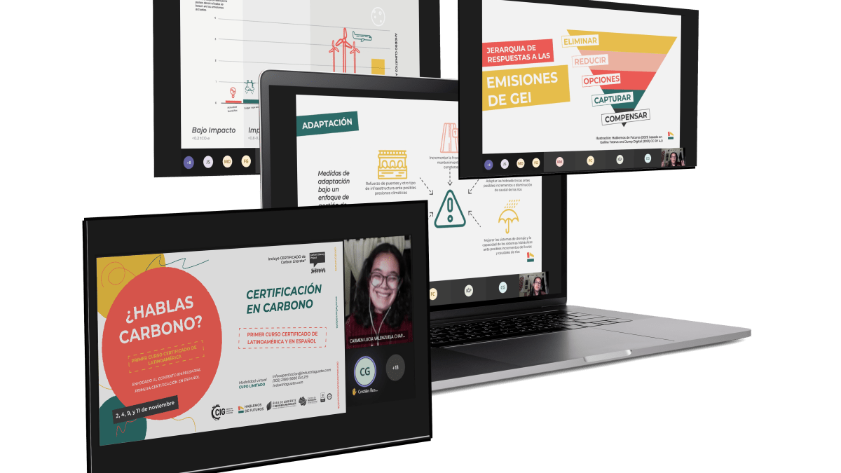 Various screen shots of carbon literacy course