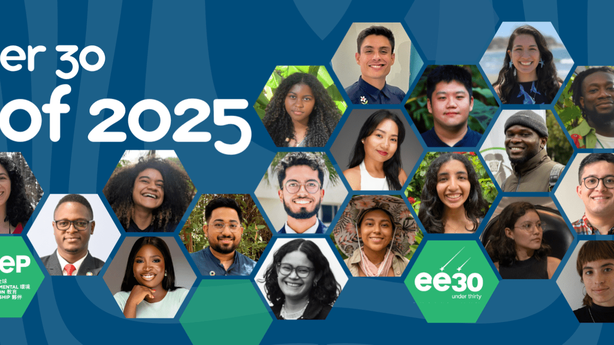 EE 30 Under 30 Class of 2025 Hive of faces