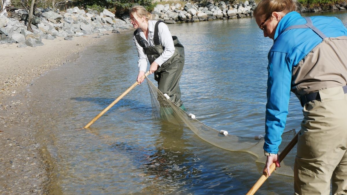 Seine demonstration in the water