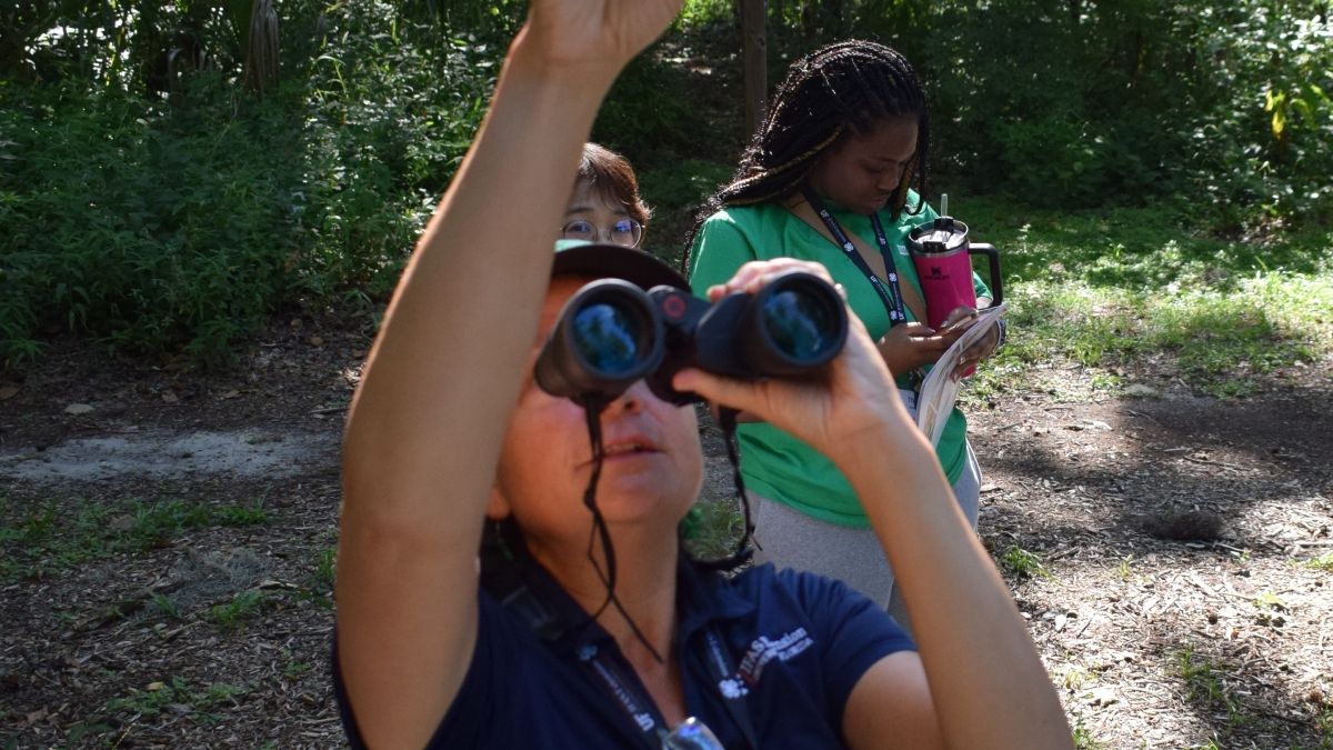 Sarah looking at something through binoculars