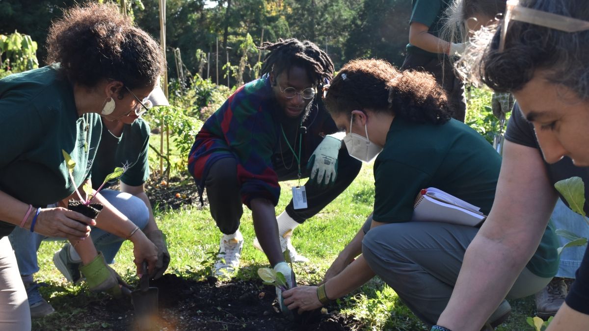 A group of young adults planting in a community garden