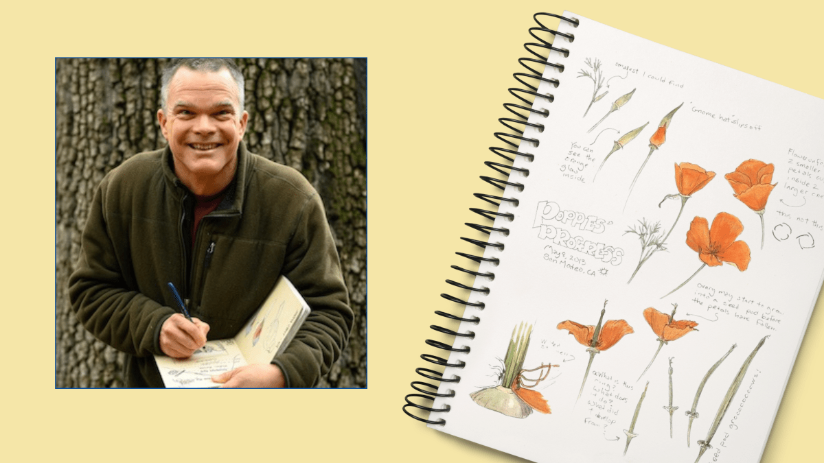 Portrait of John Muir Laws drawing and a page of his sketchbook.