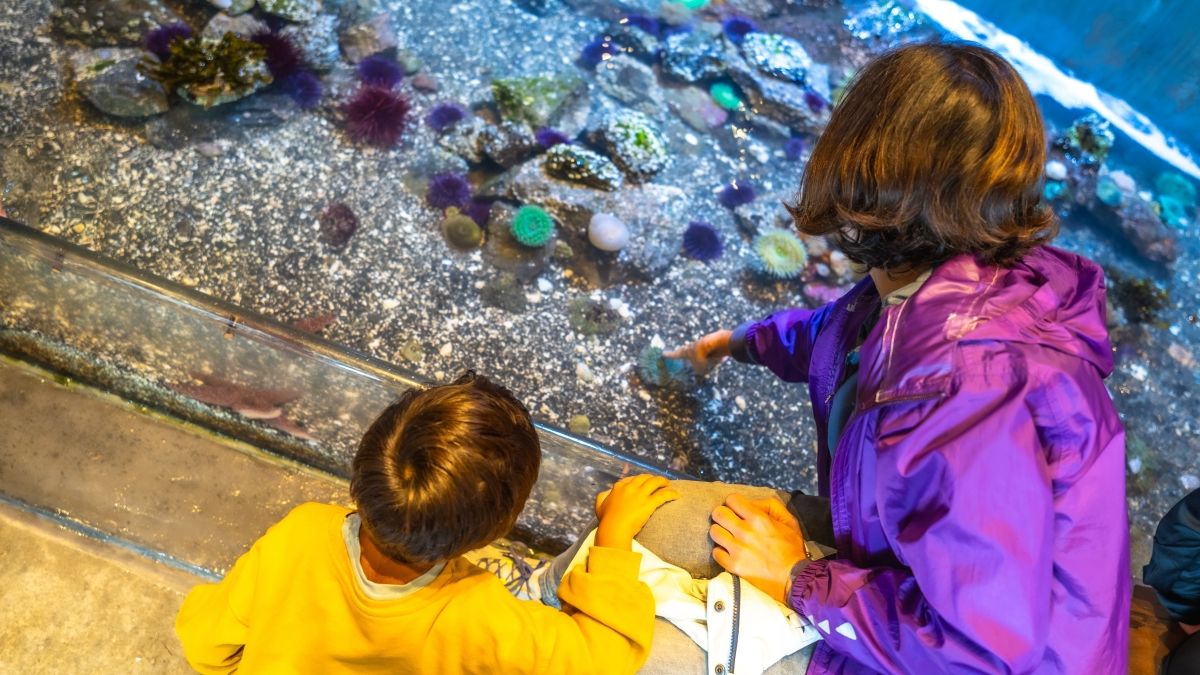 Guardian and child look at photo of seafloor