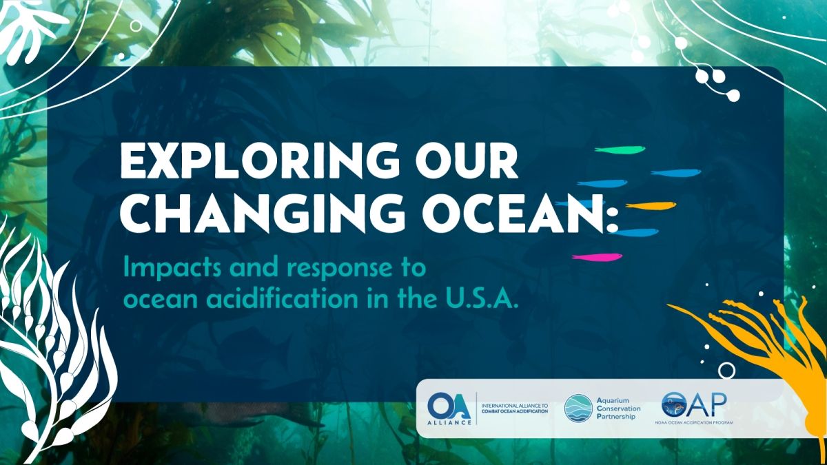 Exploring Our Changing Ocean promo graphic