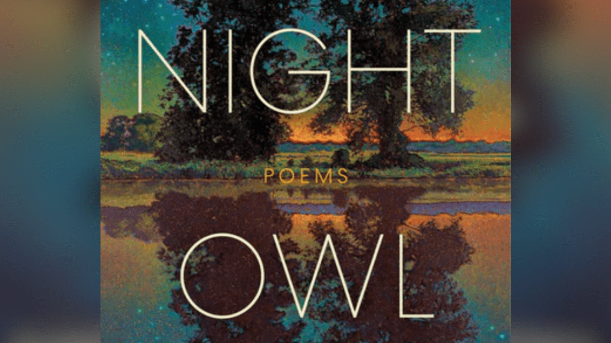 Night Owl book cover with a blurred background
