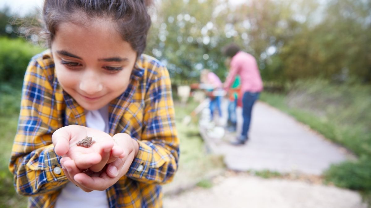 Student looking closely at a frog