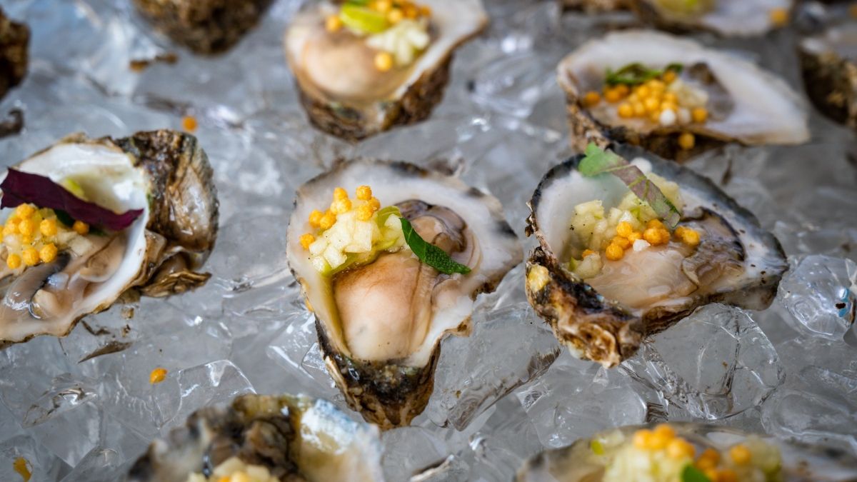 A tray of oysters in ice