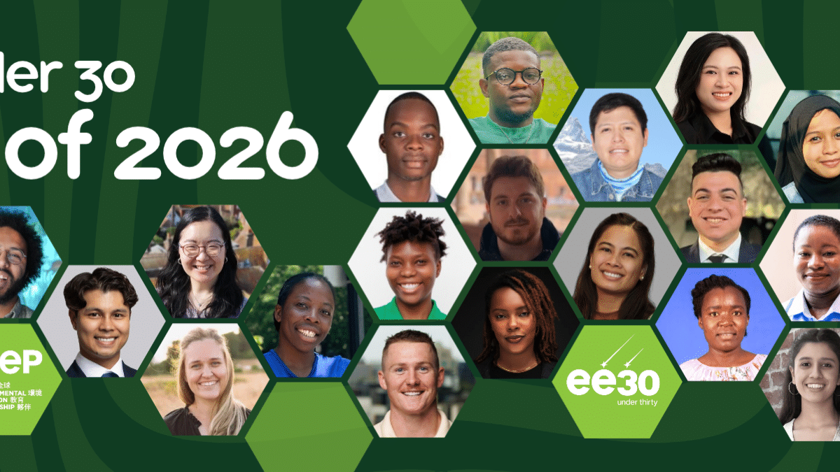 NAAEE EE 30 Under 30 Class of 2026 with a grid of their faces on green background