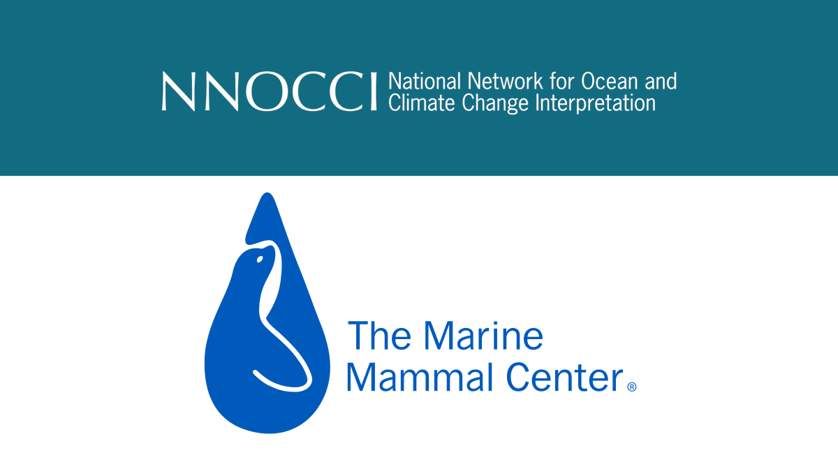NNOCCI and The Marine Mammal Center