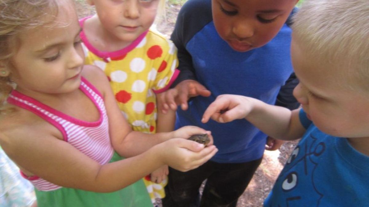 Tiny Trees Preschool