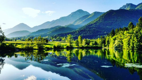 trees and mountains mirroring in lake
