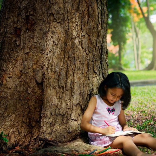 young child doing homework under a large tree
