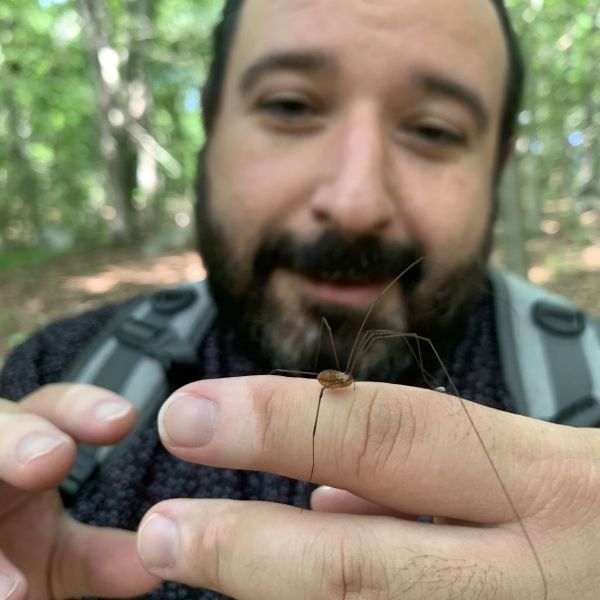 Gus holding a daddy longlegs on his hand