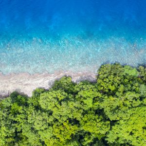 aerial view of reef and rainforest New Guinea