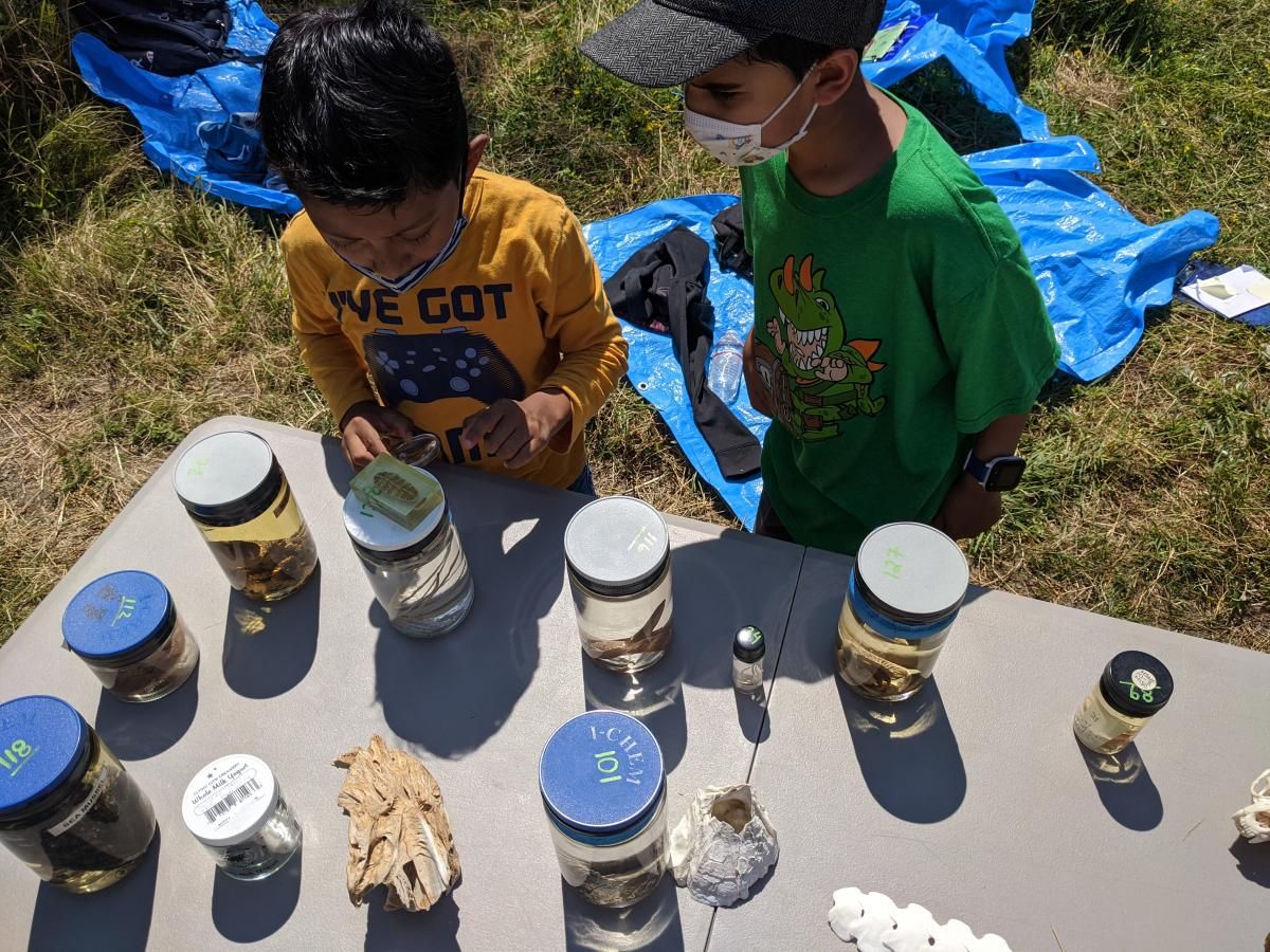 3rd-5th grade field trip to ikp on Henderson inlet
