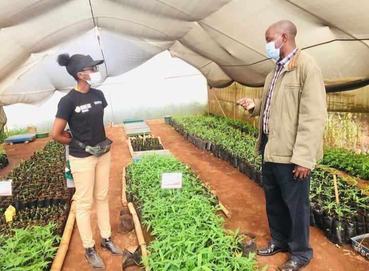 . Wendy Omanga being trained at Kenya Forest Research Institute. Credit: Moonlight Initiative ltd.
