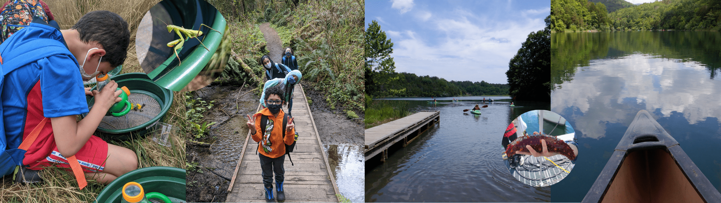 Collage grid of a student looking through a microscope, a line of students in a forest, a photo of a dock and lake, and a canoe on a lake