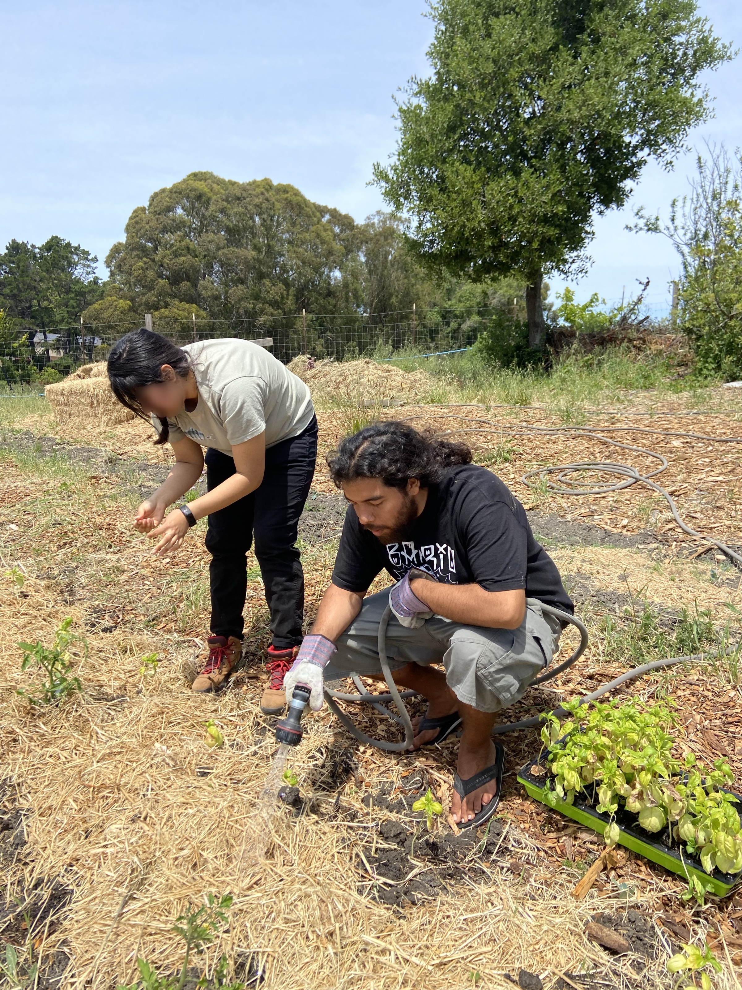 Jiapsi and friend watering plants at a community garden cared for by the Sogorea Te’ Land Trust in the Bay Area. 