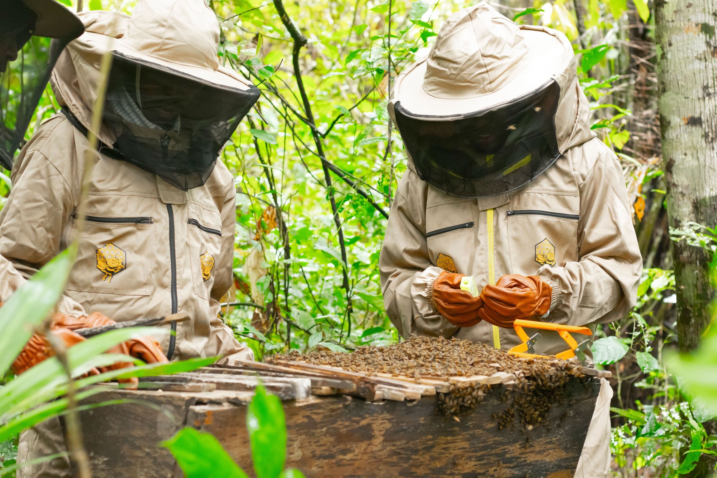 A group of beekeepers.