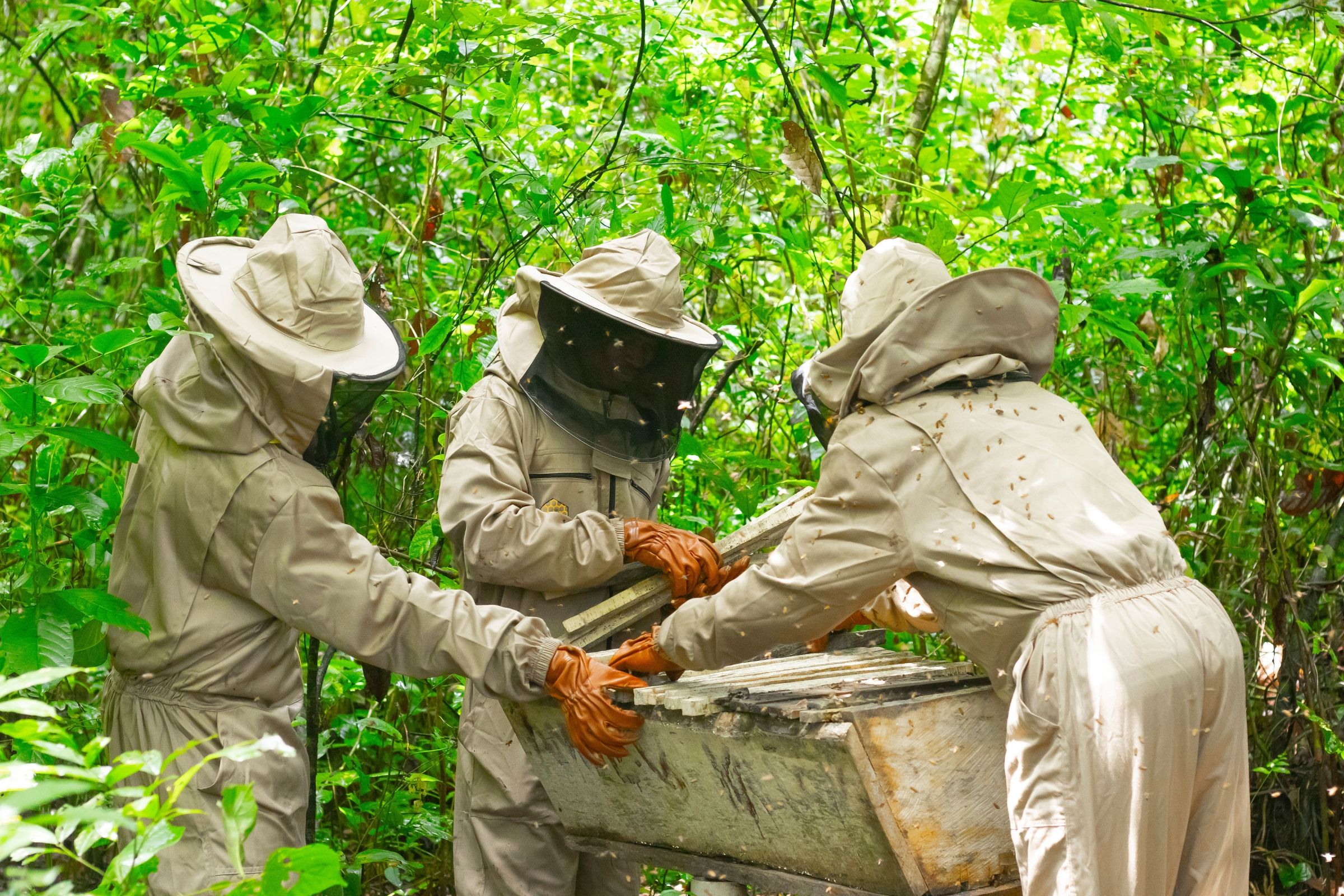 A group of beekeepers.