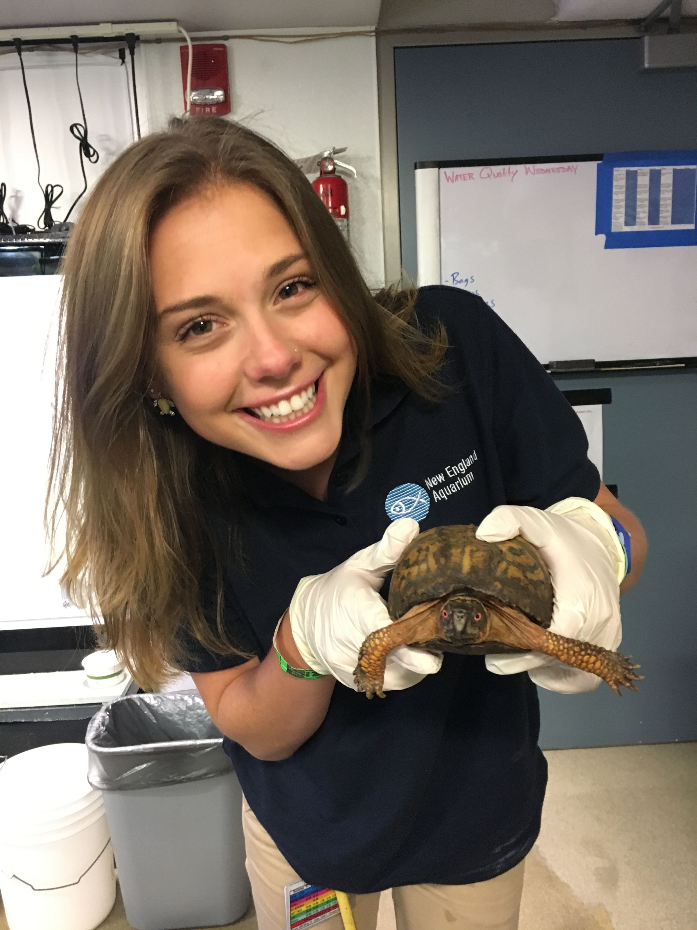 A person holding a turtle at a vet.