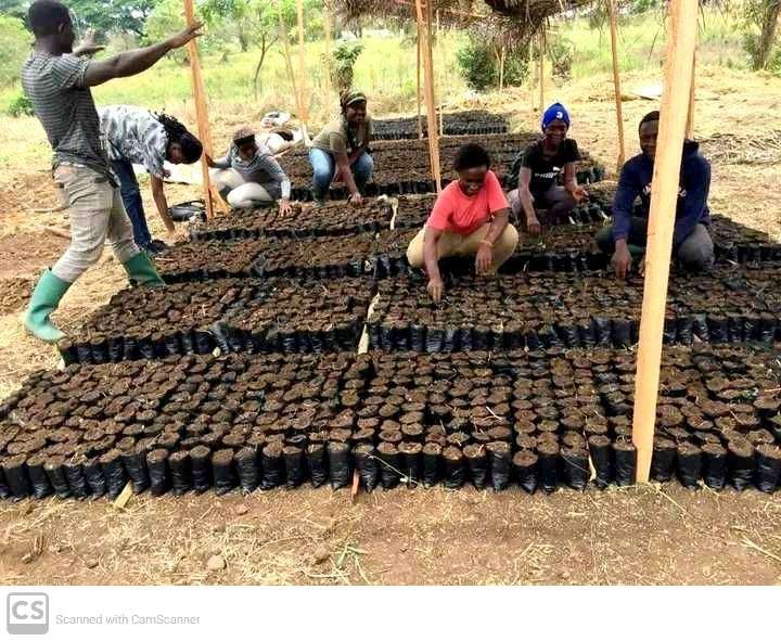 EE 30 Under 30 Awardee Nora shows Participants of the PVCA Phase II project how to incorporate organic manure with soil, and fill into polythene bags for Moringa Propagation.