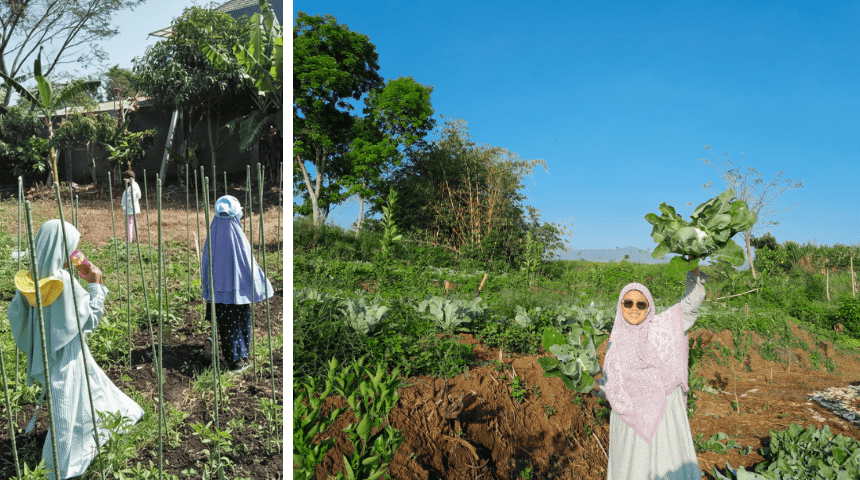 Side-by-side photos: students walk through garden; educator holds up vegetation